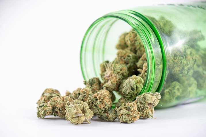Cannabis zu Genusszwecken: Ein aktueller Überblick